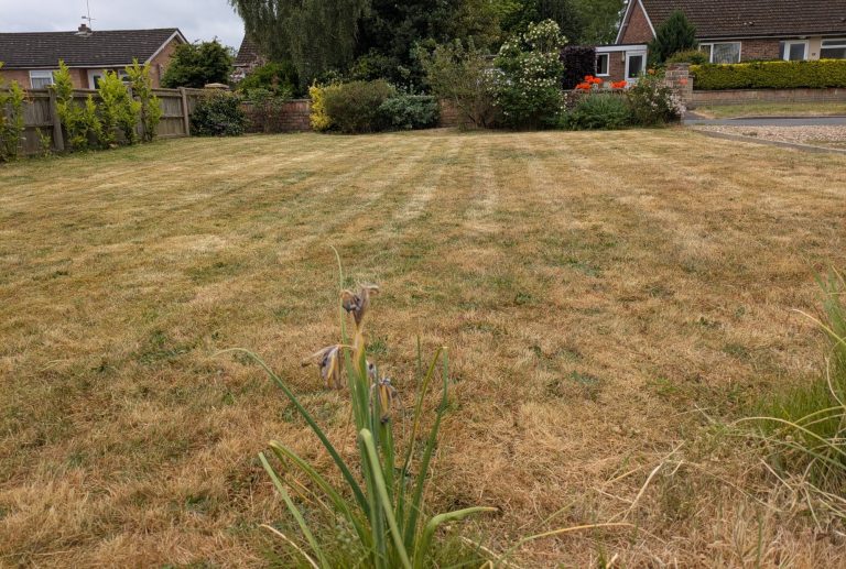Garden Maintenance NR4 Gardener Norwich