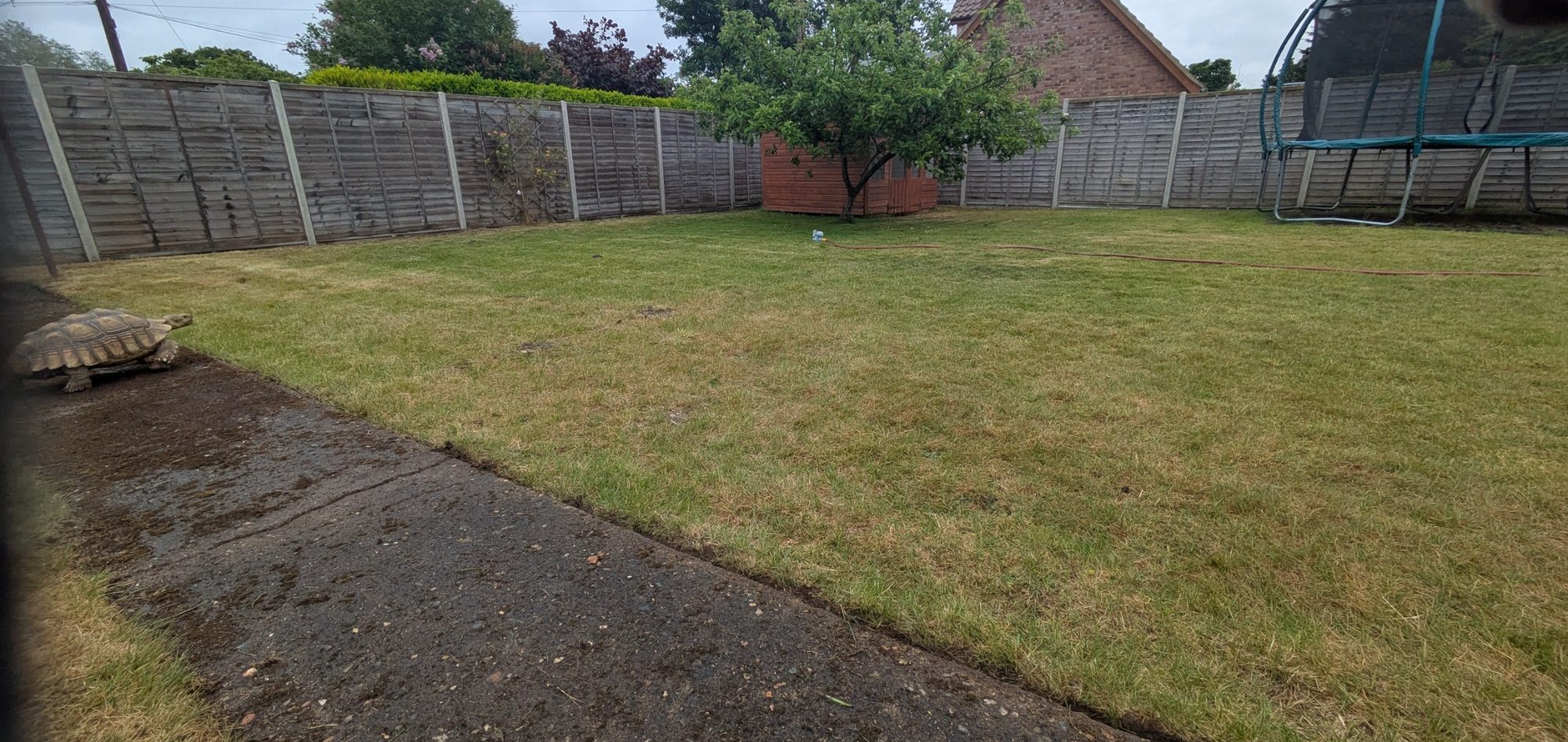 Regular Gardening Norwich Garden Maintenance Norwich